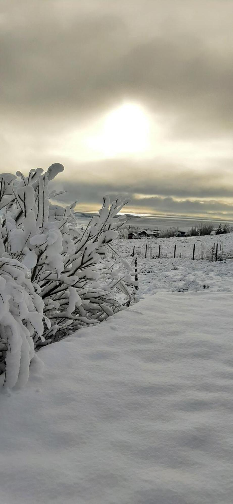 Your-Space El Calafate Exterior photo